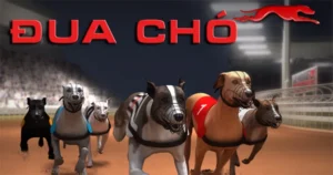 Bí Mật Thắng Lớn Game Nhanh Đua Chó Tại 98WIN