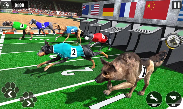Bí Mật Thắng Lớn Game Nhanh Đua Chó Tại 98WIN